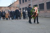 Trwają obchody 71. rocznicy wyzwolenia Auschwitz [ZDJĘCIA]