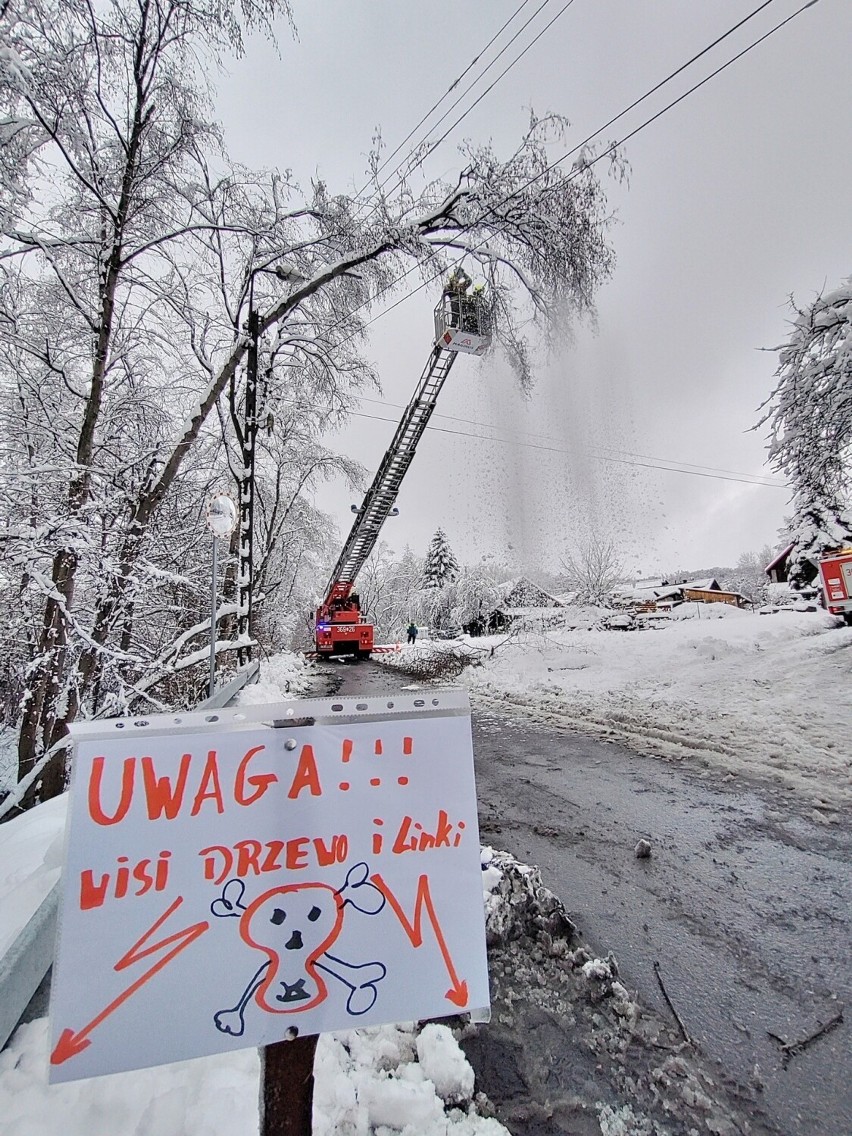 W wielu miejscach regionu przewracające się drzewa...