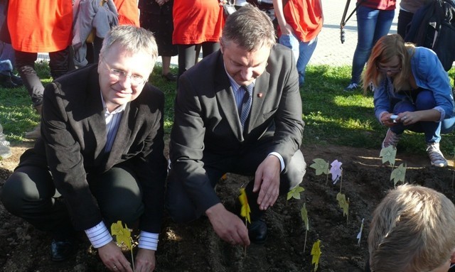 Darłowo. Pola Nadziei w Darłowie - hospicjum - zdjęcia