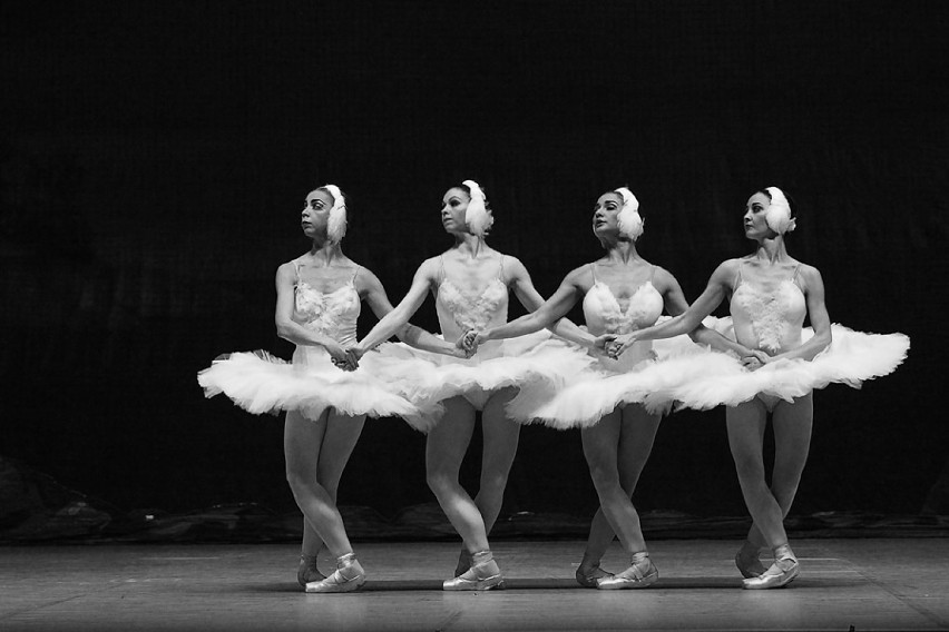 St. Petersburg Festival Ballet Jezioro Łabędzie
