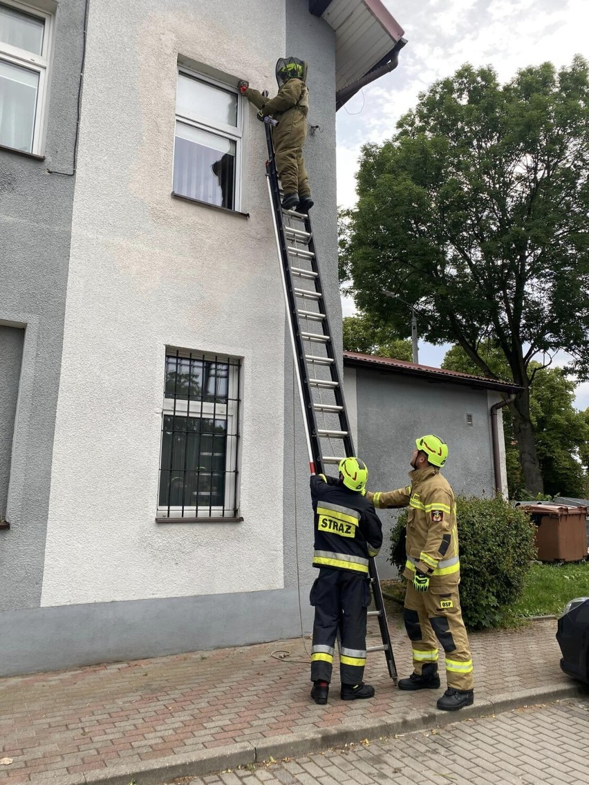 Interwencje strażaków z powiatu malborskiego