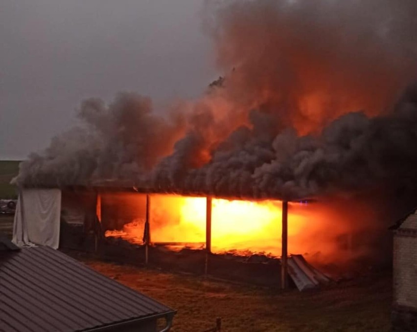 14 zastępów straży pożarnej gasiło pożar w Podgajach