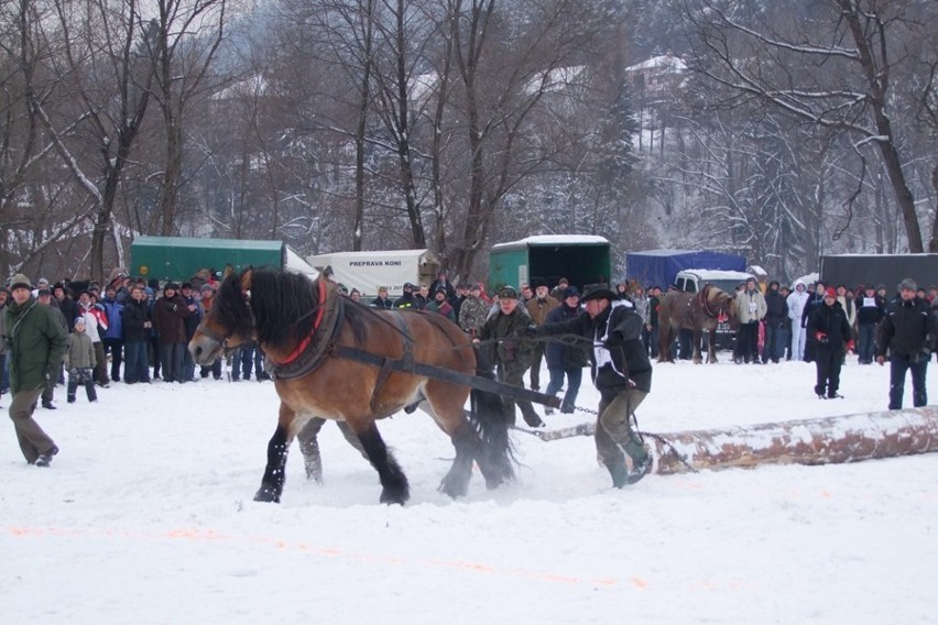 Węgierska Górka: Międzynarodowe Zawody Furmanów 2013 [ZOBACZ ZDJĘCIA]