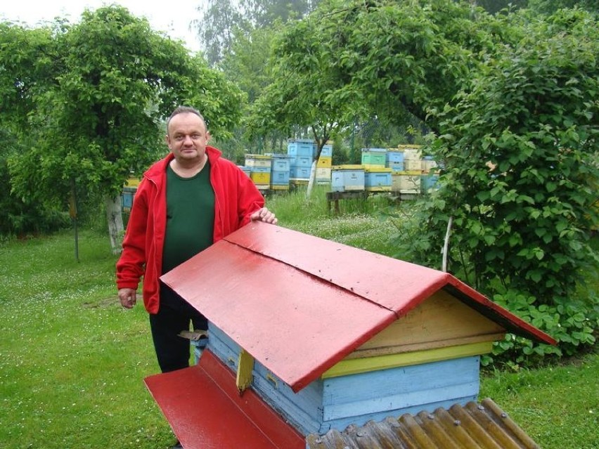 Małopolska zachodnia. Pszczoły masowo wybierają. Pszczelarze są załamani