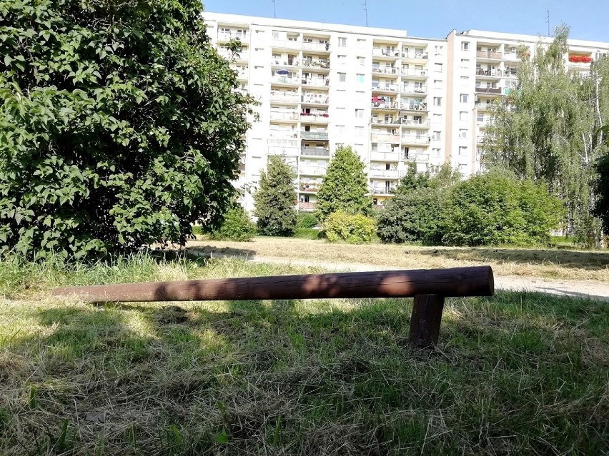 Wrocław. Zobacz, jak niszczeje park na Gaju. Czyja to wina?  (ZDJĘCIA)
