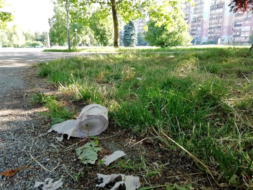 Wrocław. Zobacz, jak niszczeje park na Gaju. Czyja to wina?  (ZDJĘCIA)