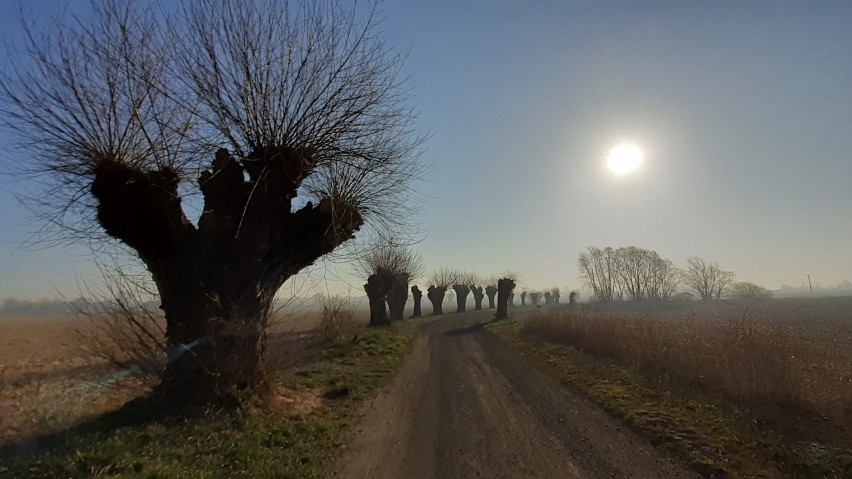 Prosna i nad Prosną