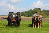 Zakończenie lata sekcji jeździeckiej Sokoła Pniewy w Stajni Jakubowo [FOTO]