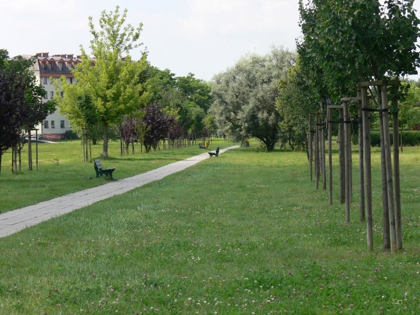 Budżet Obywatelski 2019. Takie są pomysły zduńśkowolan