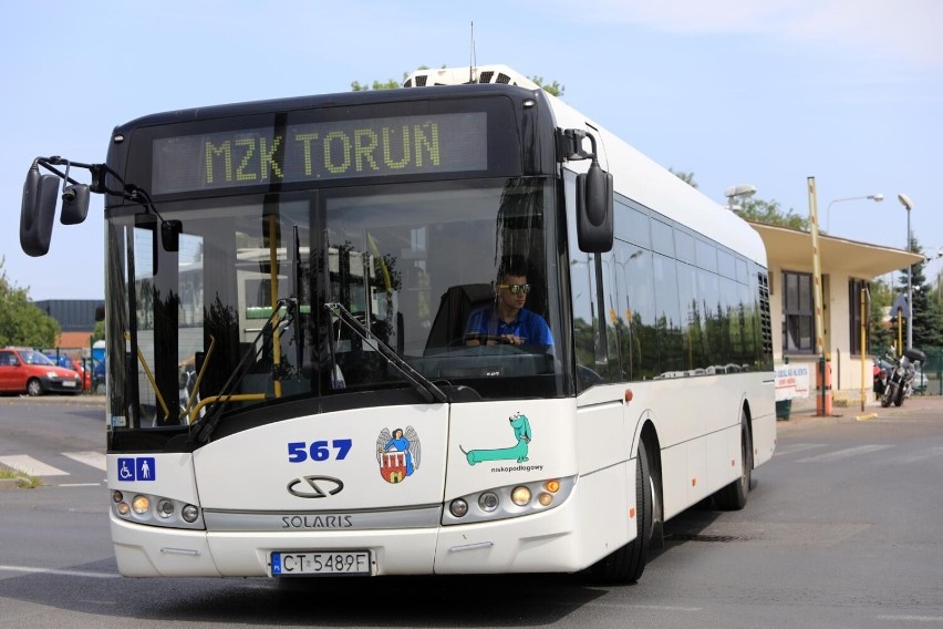 Na miano najdłuższej linii autobusowej w Toruniu zasługują...