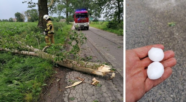 Jak informuje nas st. kpt. Jarosław Skotnicki z KP PSP Inowrocław, w godzinach od 17 do 19 strażacy interweniowali 25 razy, głównie na terenie gminy Dąbrowa Biskupia oraz w Suchatówce (gmina Gniewkowo)