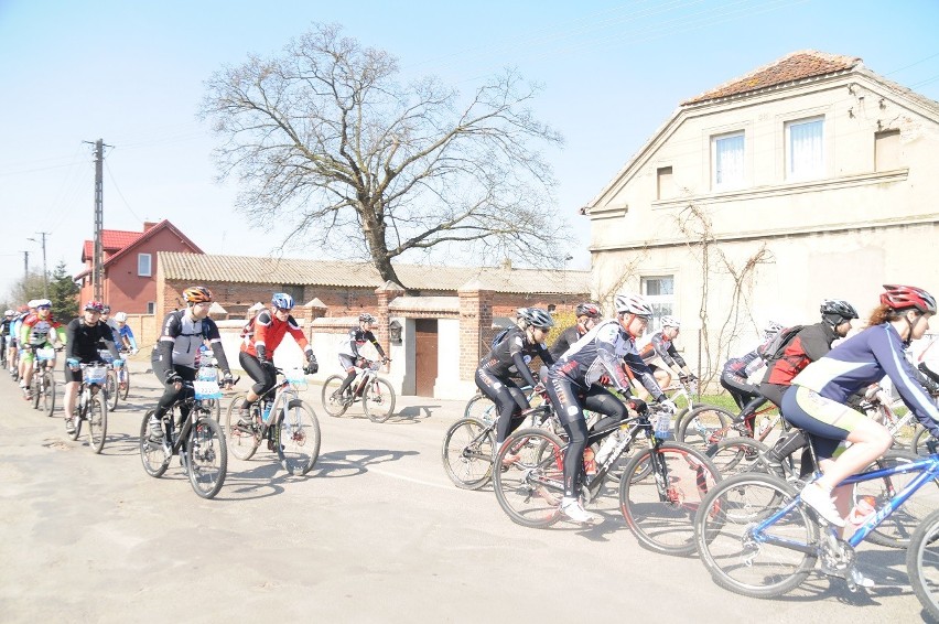 Grand Prix Wielkopolski w maratonach MTB 2013 w Dolsku. 21...