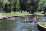 Kąpielisko w Pruszczu Gdańskim nad Radunią przyciąga wielu mieszkańców w upalne dni |ZDJĘCIA