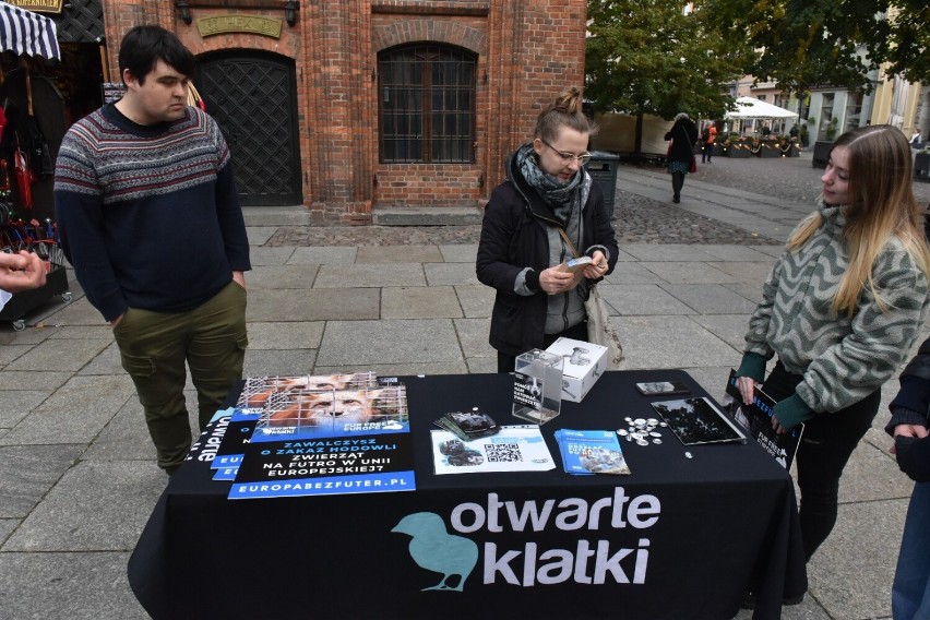 W niedzielę (02.10) aktywiści i aktywistki toruńskiego...