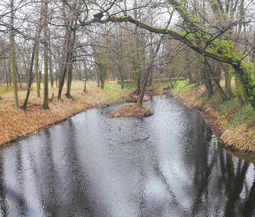 Kolejne porządki przy zamku w Rydzynie