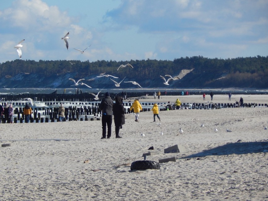 Słoneczna sobota w Ustce. Pogoda idealna na spacer po plaży [ZDJĘCIA]