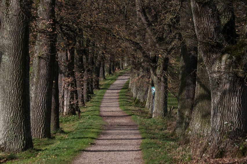 Lato na wsi blisko Żar? Dlaczego nie. Nie mjusicie jechać...