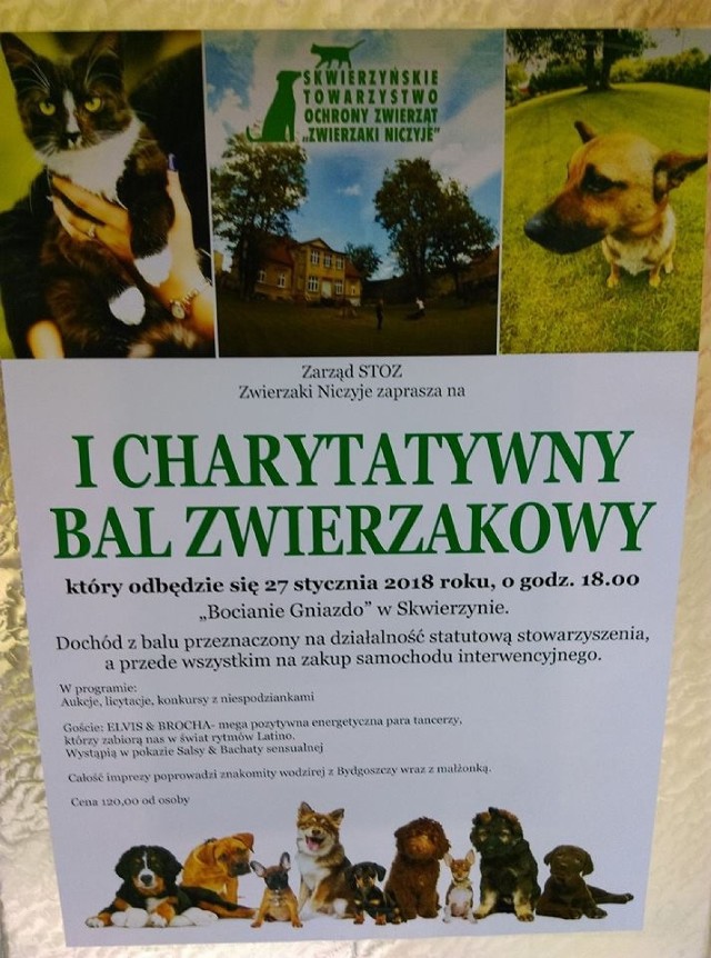 Bal ma pomóc zwierzętom.