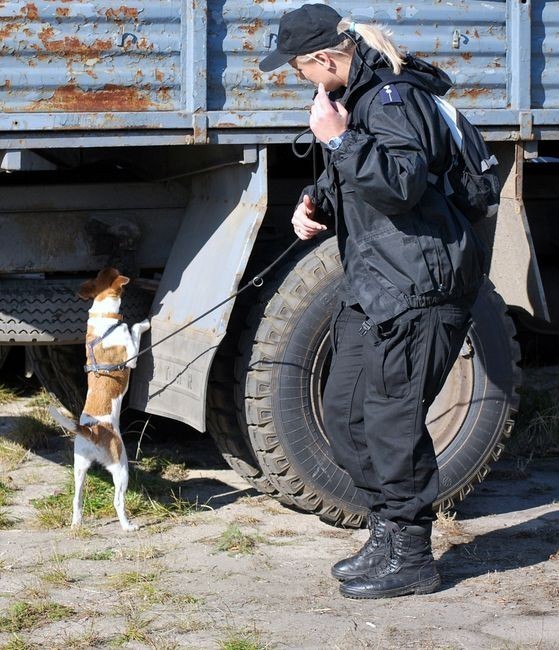 Psy w służbie policji