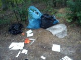 Poznań: Wyrzucała śmieci do lasu - wpadła przez... zdjęcie