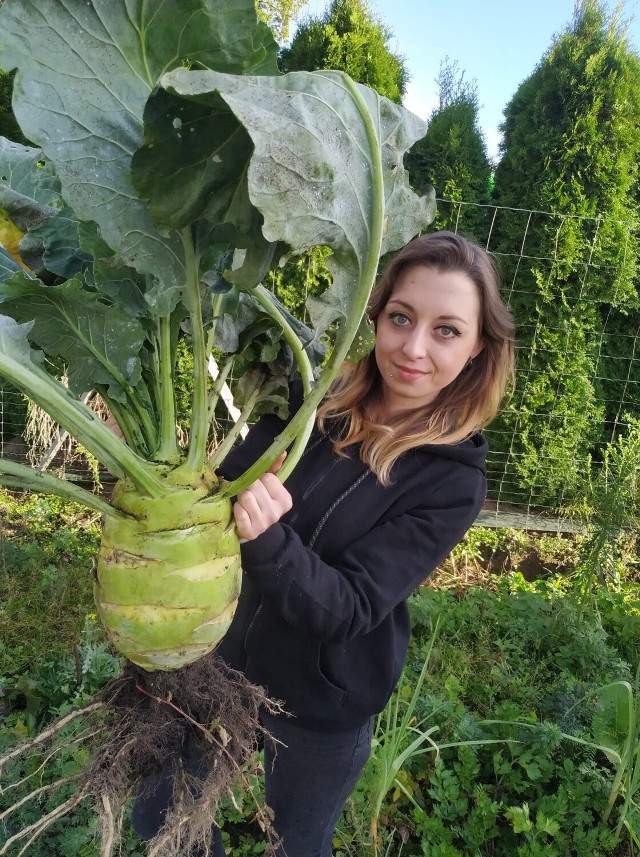 Ta kalarepa ważyła 5,7 kg