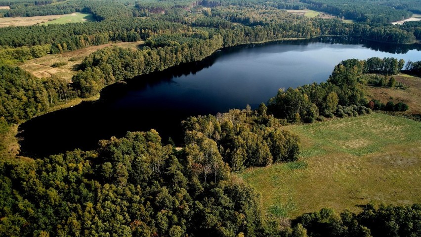 Kalsko i okolice z lotu ptaka