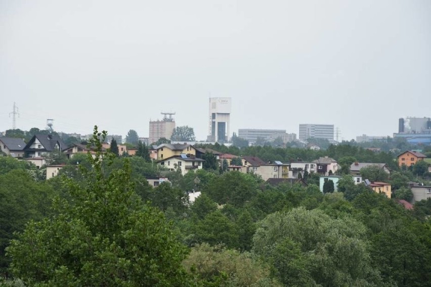 Kopalnia Zofiówka w Jastrzębiu: pomoc psów była niezbędna