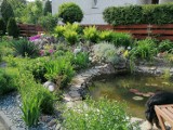 Oto ogrody i piękne rośliny naszych czytelników 
