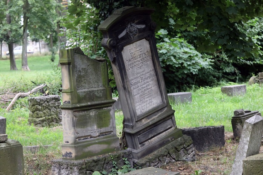 Cmentarz Żydowski w Legnicy powstał 183 lat temu, zobacz zdjęcia jak wygląda dzisiaj