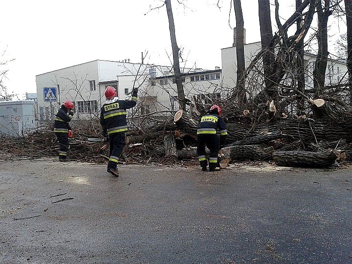 Skutki wichury w Darłowie i Darłówku