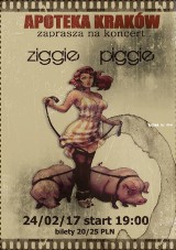 Ziggie Piggie |24.02.17|Kraków Apoteka