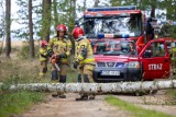 „Krajeńskie Niwy 2022”. Strażacy ćwiczyli na wypadek pożaru lasu. Zobaczcie zdjęcia