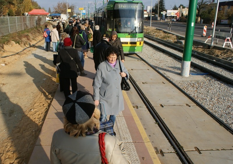 Poznań: Cmentarz Junikowo - na razie spokojnie [ZDJĘCIA]