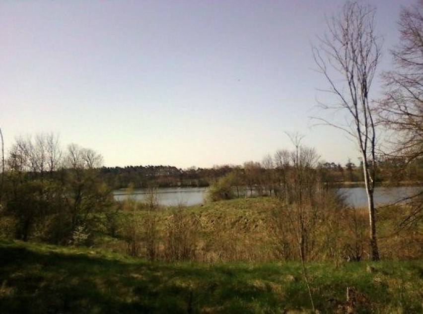 Widok na jezioro Świesz od Dworku. Fot. Karol Szmagalski