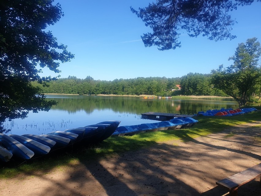 Eko-plaża w Stęszewku nad Jeziorem Stęszewsko-Kołatkowskim,...