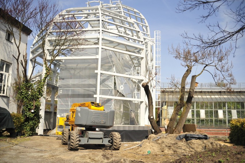 Kraków. Ogród Botaniczny UJ zaprasza na wiosnę