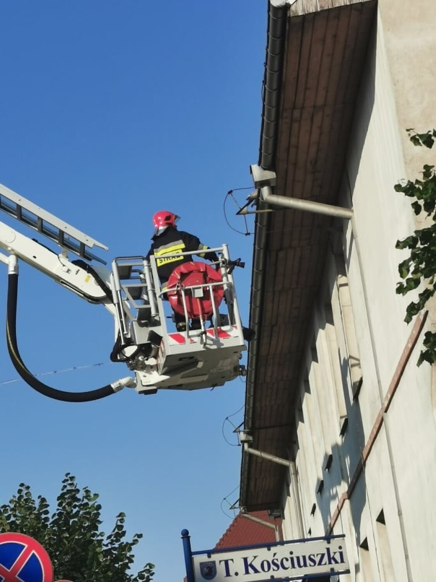 Dzięki akcji kartuskich strażaków mewa będzie mogła nadal bezpiecznie latać