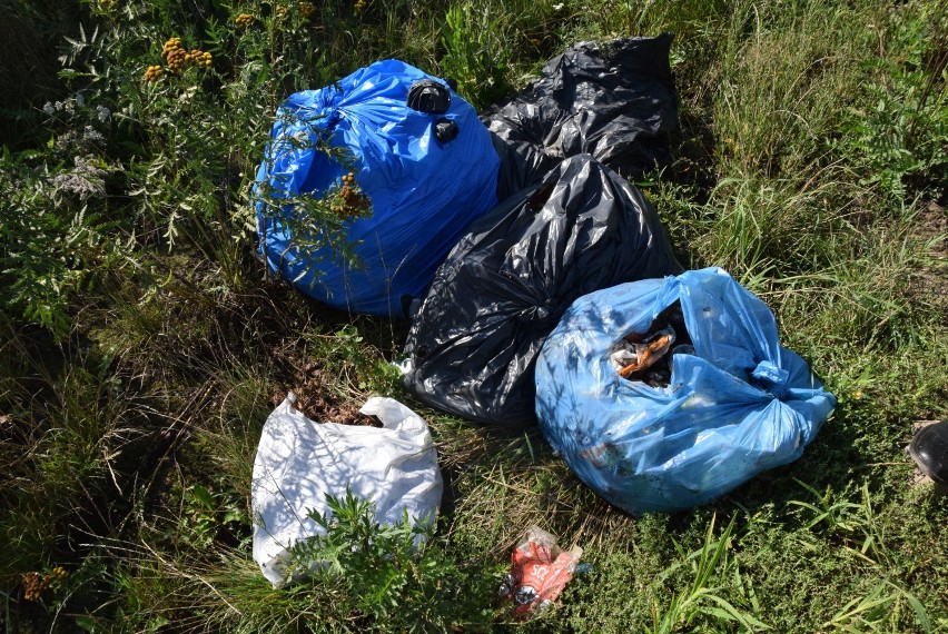 Dzikie wysypiska nadal są problemem na terenie miasta