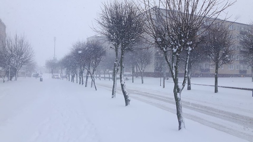 Śnieżyca w powiecie starogardzkim. Duże utrudnienia na drogach [ZDJĘCIA]