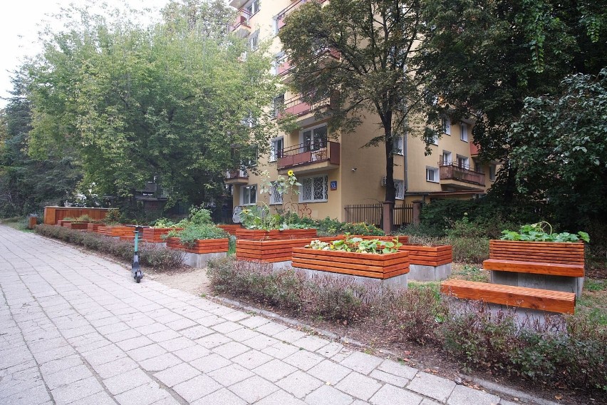 Postawili stolik i dwie ławki. No i się zaczęło. Mieszkańcy wkurzeni po remoncie parku. "Regularne libacje alkoholowe"