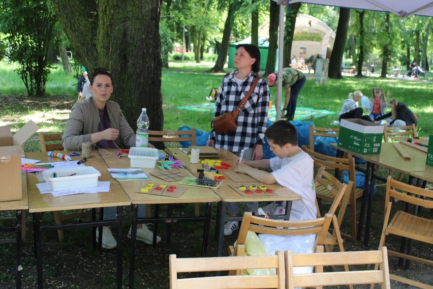 Słoneczny piknik ekologiczny w Radomiu, na placu Corazziego i w parku Kościuszki. Zobacz zdjęcia