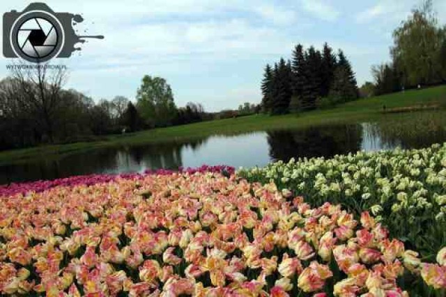 Łódzki Ogród Botaniczny jest naszą wizytówką w konkursie na ...