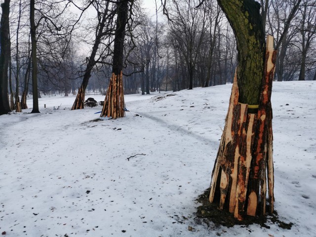 Park w Kościelcu w Chrzanowie