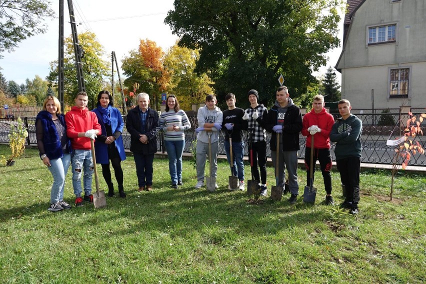 Nowe nasadzenia w powiecie nyskim. Starostwo ponawia swoją...