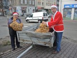 Stargardzcy Mikołaje z workami pełnymi... ziemniaków