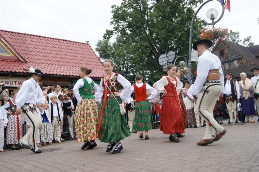 Budżet Obywatelski w Małopolsce: rozdzielono 12 mln zł. Mieszkańcy głosowali na siatkówkę, muzykę, Wisłę i Święto Karpia 