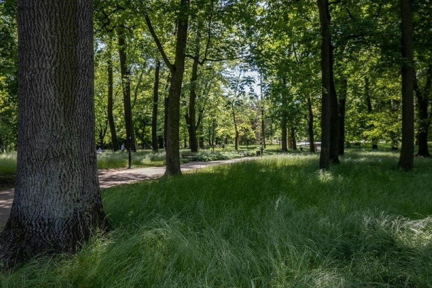 Park Jerzmanowskich