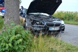 BMW uderzyło w drzewo na trasie Sośno - Rogalin [zdjęcia]
