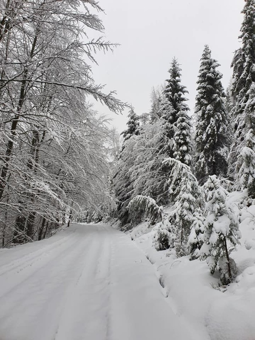 Prawdziwa zima zawitała do Wierchomli. Zdjęcia ze szlaków