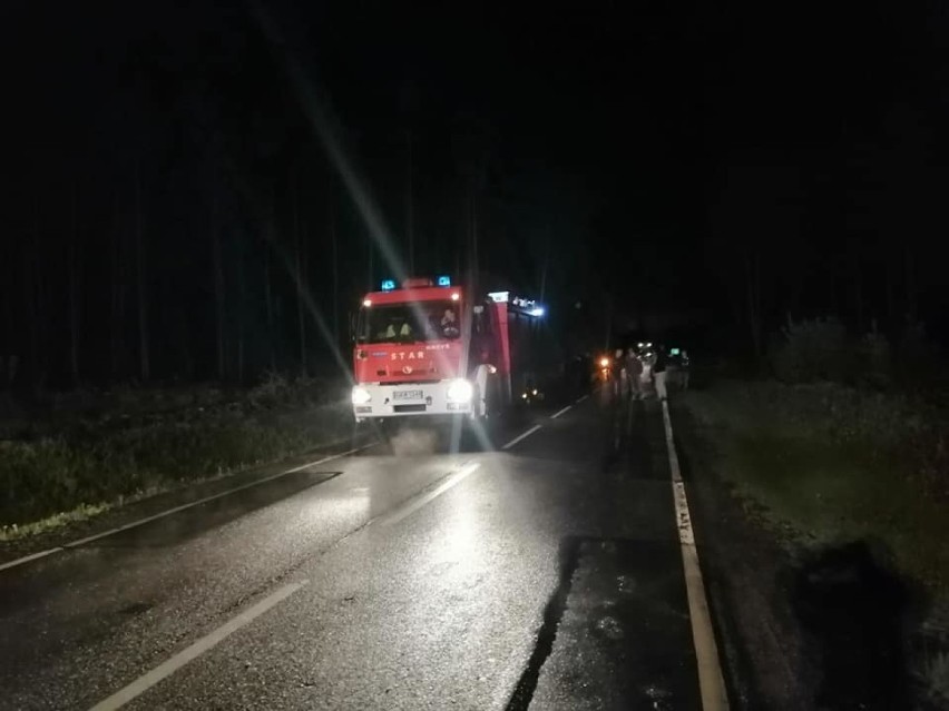 Pożar samochodu na drodze między Mątkami a krzyżówkami ryjewskimi. W akcji strażacy z Ryjewa i Sztumu [ZDJĘCIA]